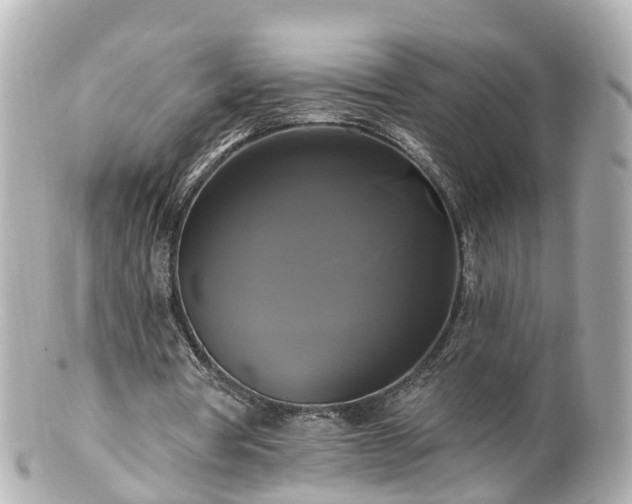 X0000100920386200807011311