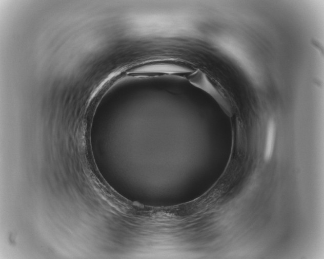 X0000100920387200807011311