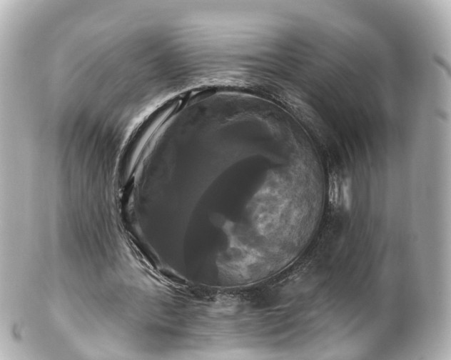 X0000100920388200807011311