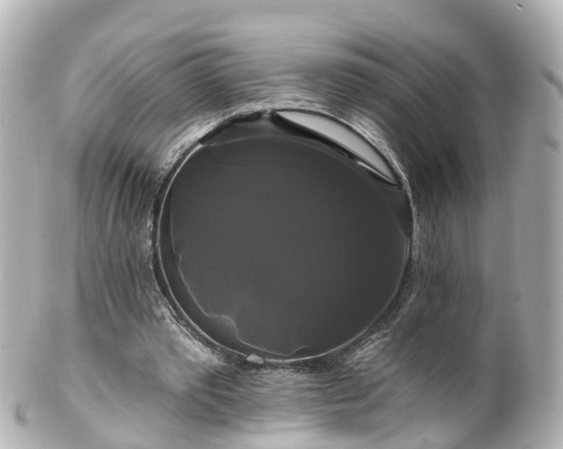 X0000100920389200807011311