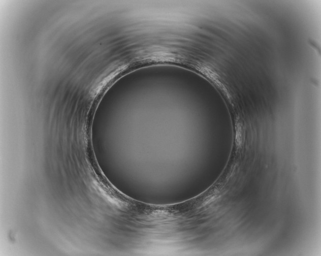 X0000100920390200807011311