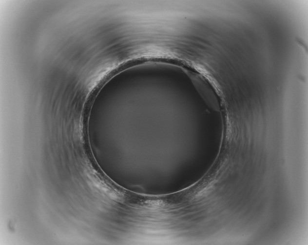 X0000100920391200807011311