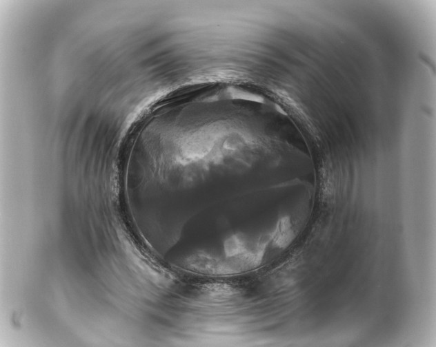 X0000100920392200807011311