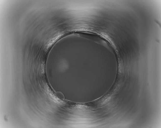 X0000100920393200807011311