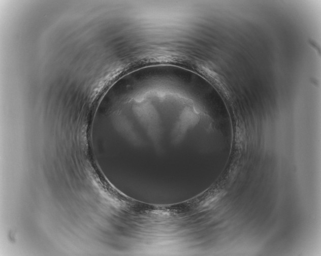 X0000100920394200807011311