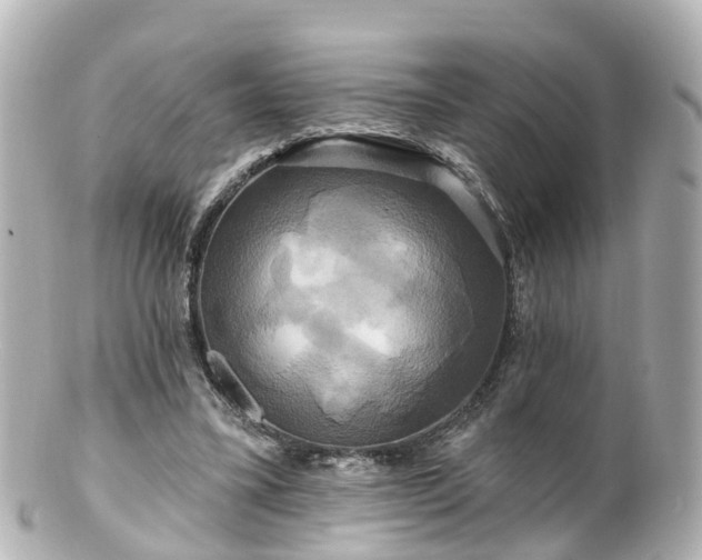 X0000100920395200807011311