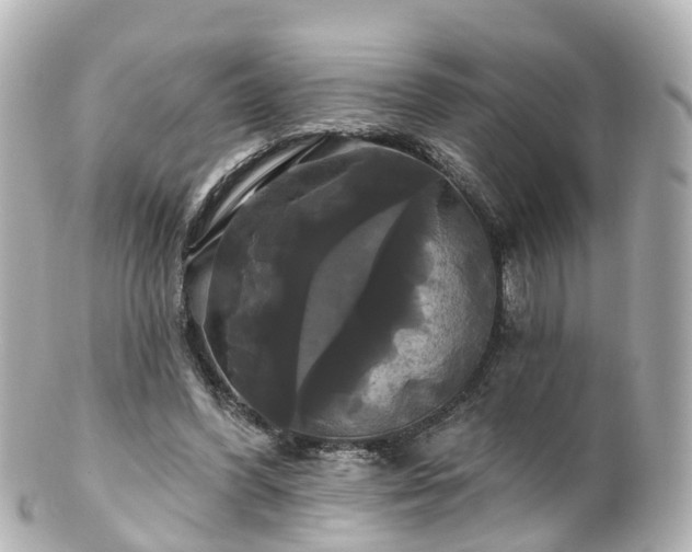 X0000100920396200807011311