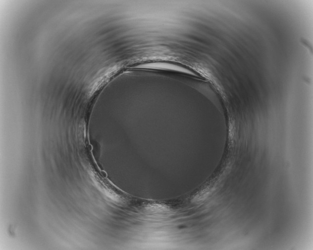 X0000100920397200807011311