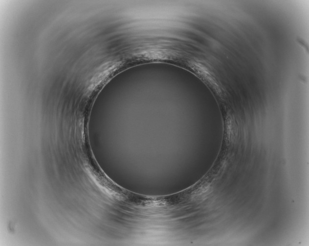 X0000100920398200807011311