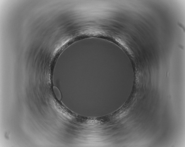 X0000100920399200807011311