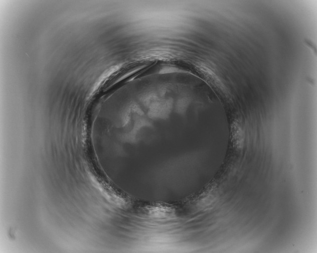 X0000100920400200807011311