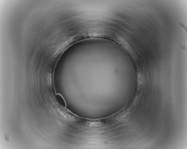 X0000100920401200807011311