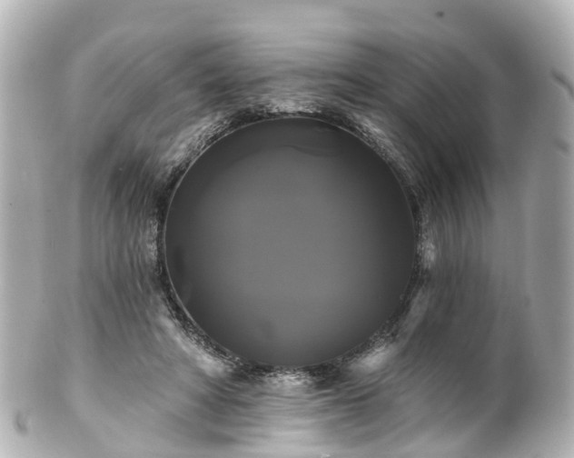 X0000100920402200807011311