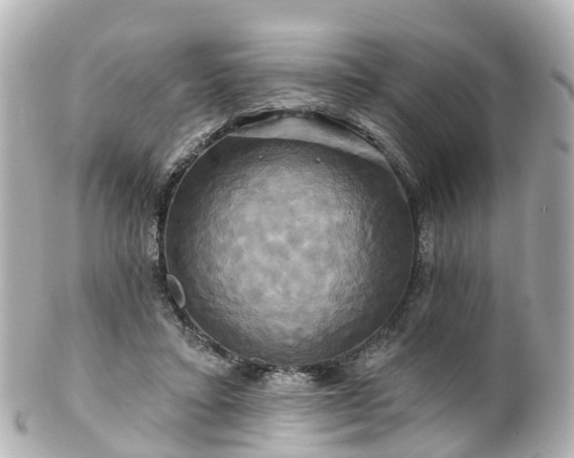 X0000100920403200807011311