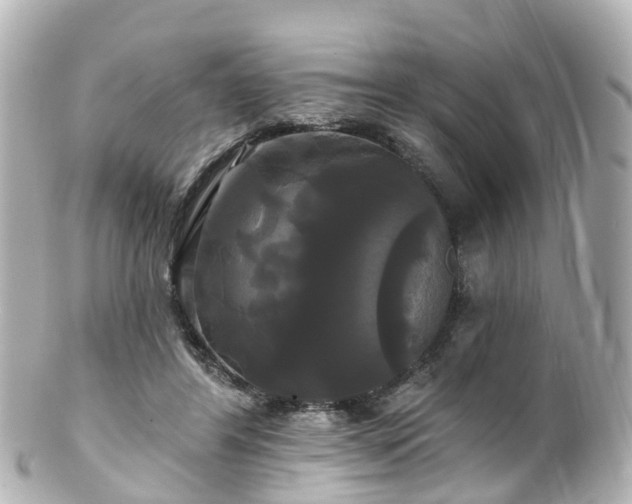 X0000100920404200807011311