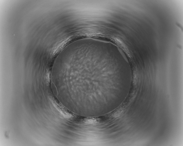 X0000100920405200807011311