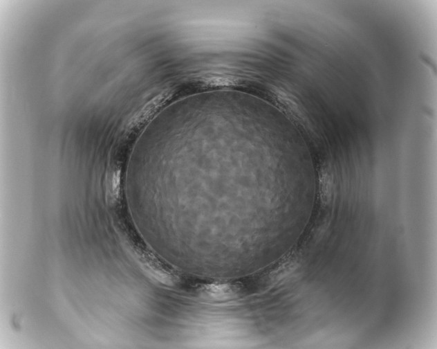 X0000100920406200807011311