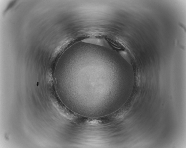 X0000100920407200807011311