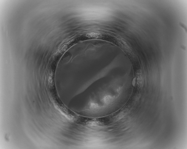 X0000100920408200807011311