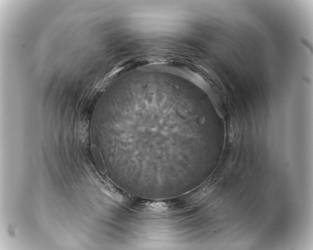 X0000100920409200807011311