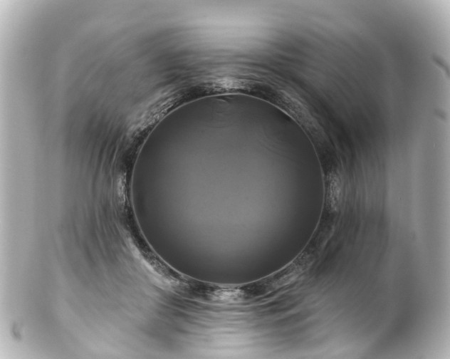 X0000100920410200807011311