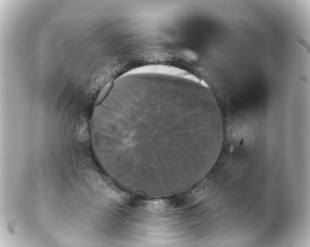 X0000100920411200807011311