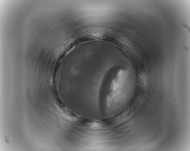 X0000100920412200807011311