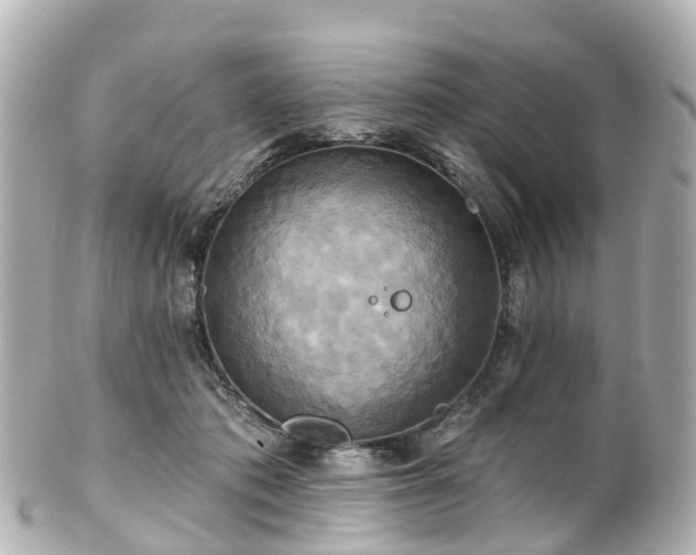 X0000100920413200807011311