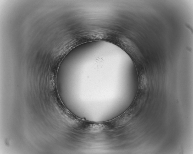 X0000100920414200807011311