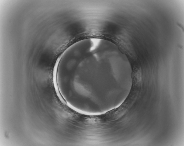 X0000100920415200807011311