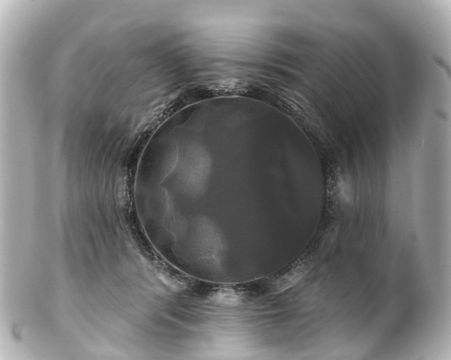 X0000100920416200807011311