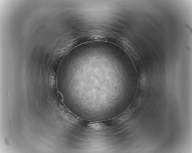 X0000100920417200807011311