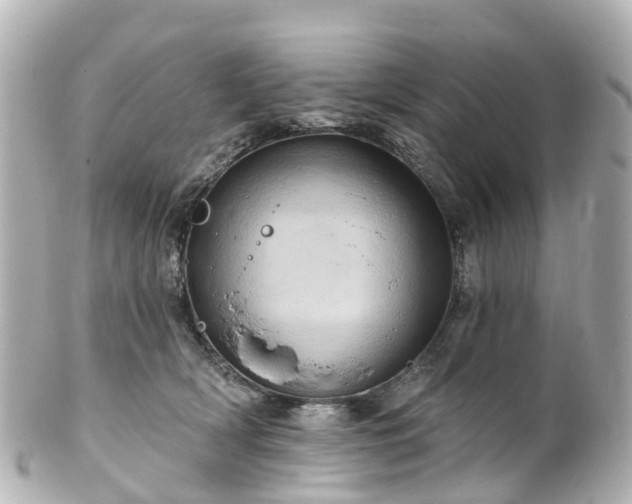 X0000100920418200807011311