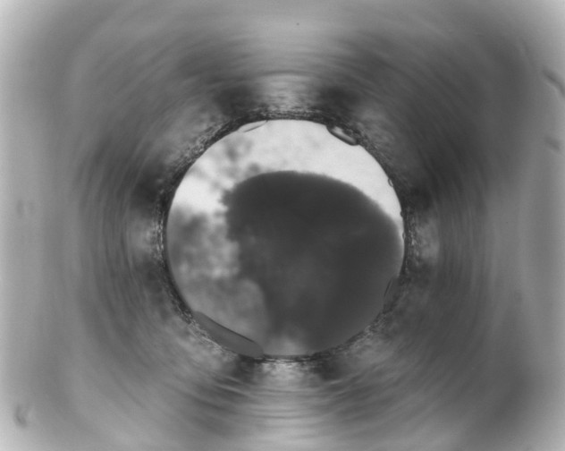 X0000100920419200807011311