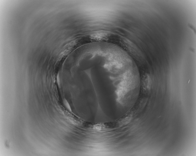 X0000100920420200807011311