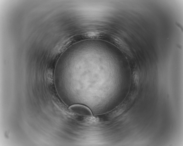 X0000100920421200807011311