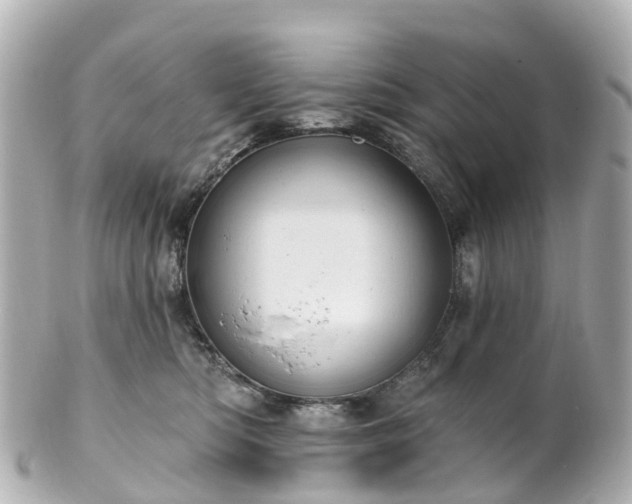 X0000100920422200807011311