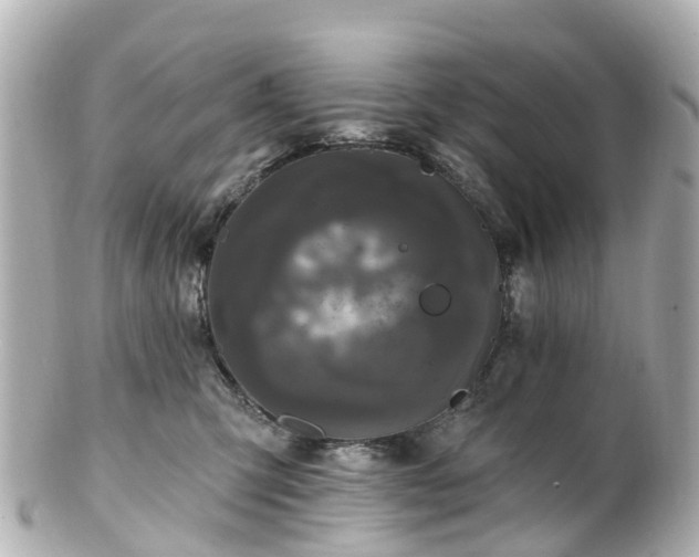 X0000100920423200807011311