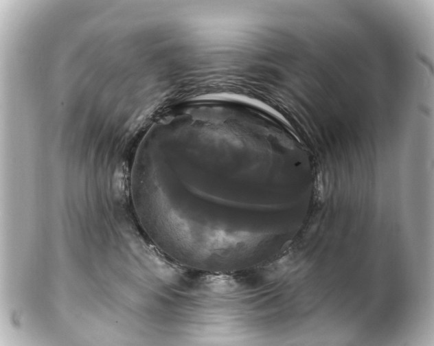 X0000100920424200807011311