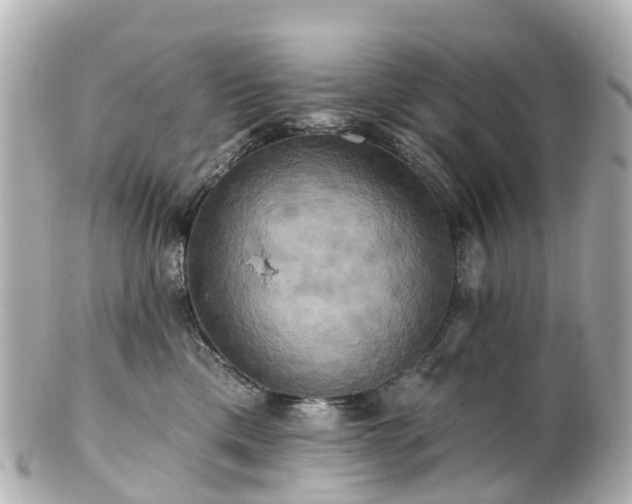 X0000100920425200807011311