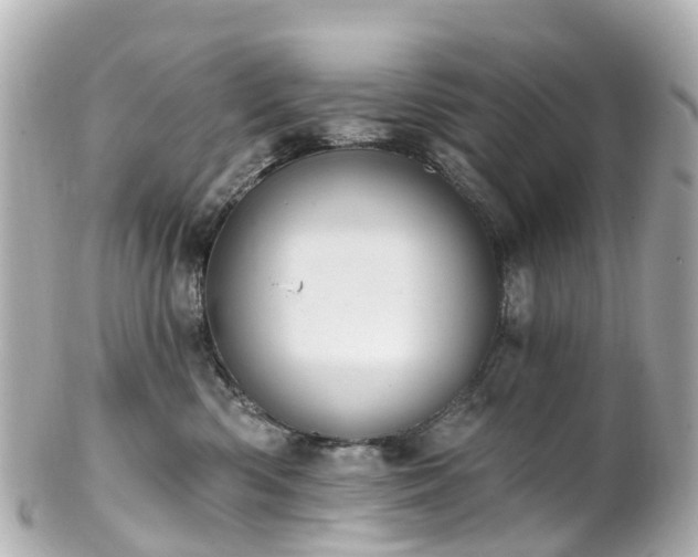 X0000100920426200807011311