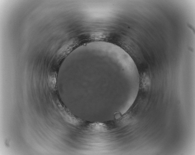 X0000100920427200807011311