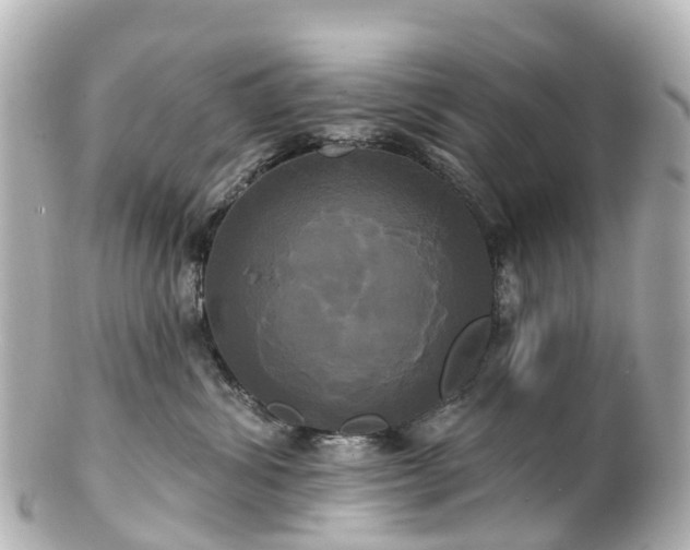 X0000100920428200807011311