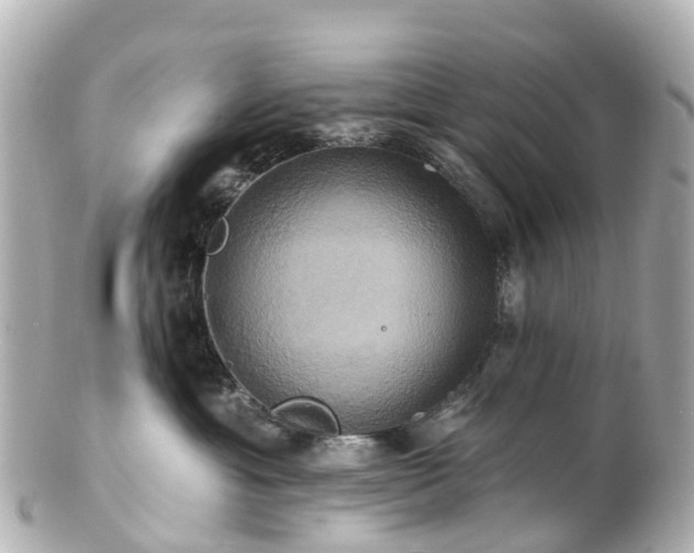 X0000100920429200807011311