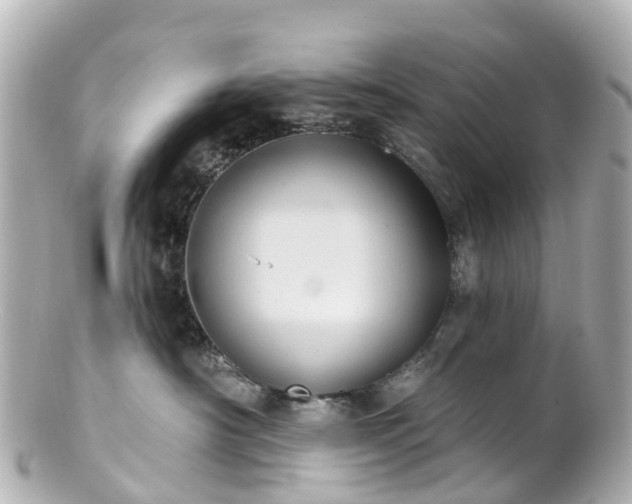 X0000100920430200807011311