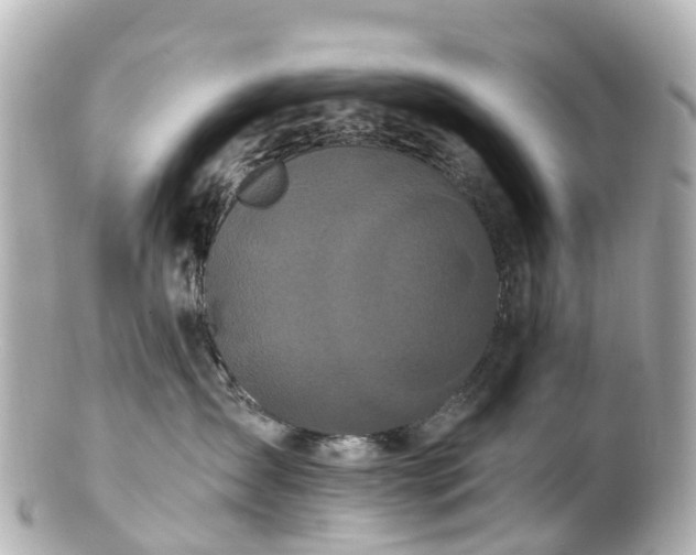 X0000100920431200807011311