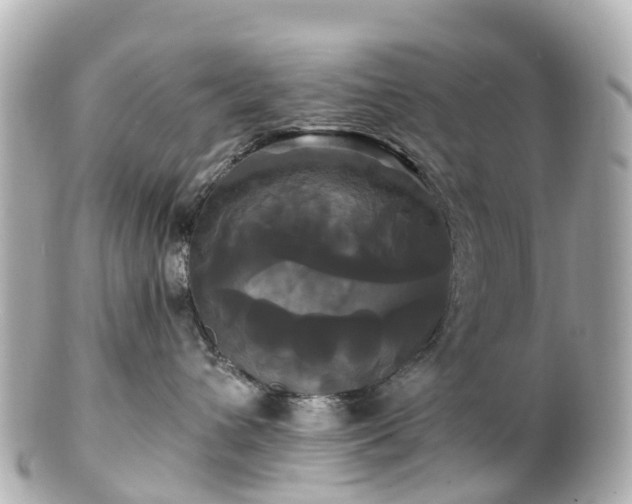 X0000100920432200807011311