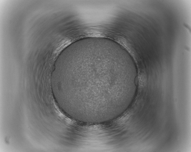 X0000100920433200807011310