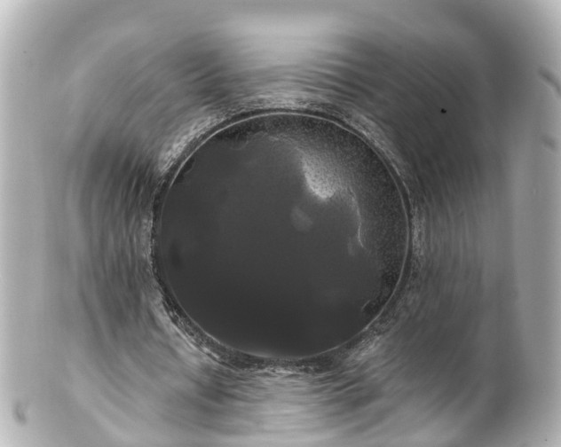 X0000100920434200807011310