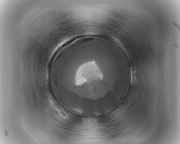 X0000100920435200807011310